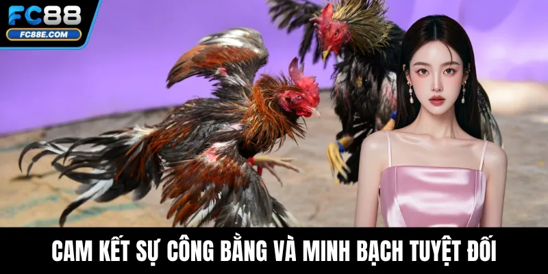 Cam kết sự công bằng và minh bạch tuyệt đối